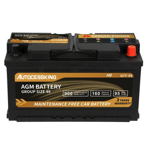 Platinum agm battery - agm, bci