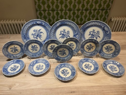 Spode camilla blue white - &,