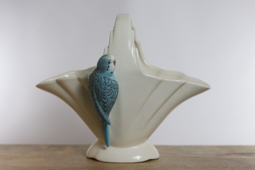 Falcon budgerigar budgie - budgerigar, vase