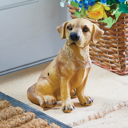 Barking dog motion - barking,