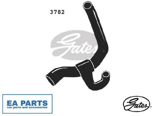 Radiator hose for ford - radiator,
