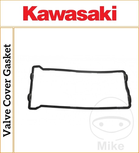 Kawasaki 10r 1000 ninja - zx-10r,