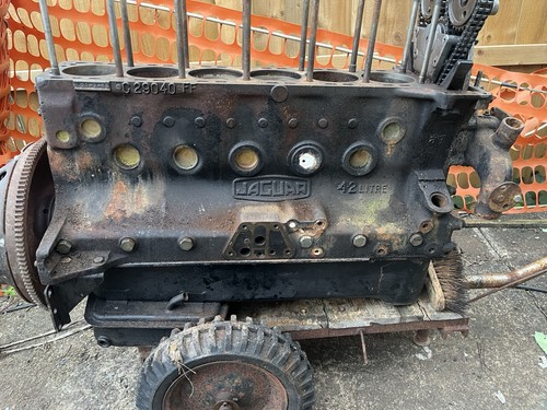 Jaguar type short - jaguar, 4.2