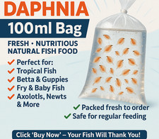 100ML bag of Daphnia - Perfect