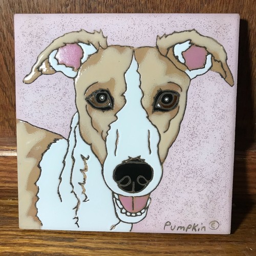 Whippet dog tan - dog,, &