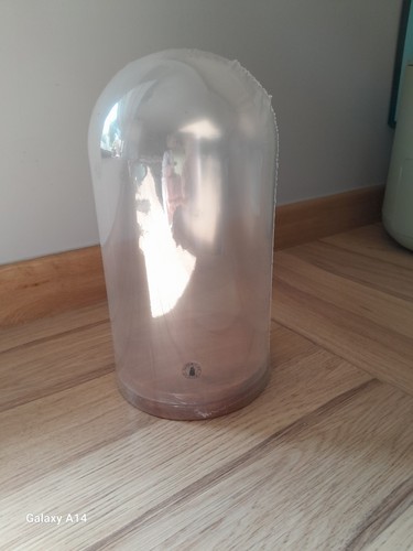 Glass dome display case with - glass,