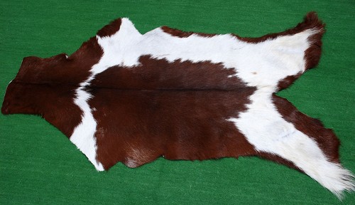 Luxury goat hide rug hair - luxury, on