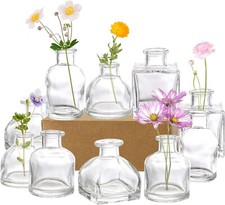 10 x Small Glass Flower Vases Clear Bud Rustic Mini Tabletop for Home Decoration