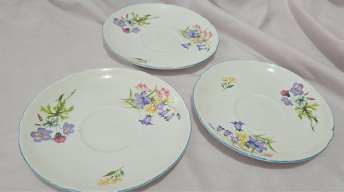 Shelley wild flowers 13668 - wild,