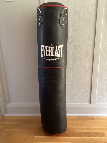 Everlast hanging heavy - , punch