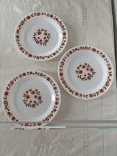 Arcopal Scania Side Plates