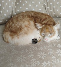 Nauticalia Freddy The Ship