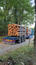 2017 Robinson crane timber trailer