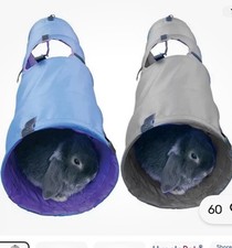 Rosewood Rabbit Activity