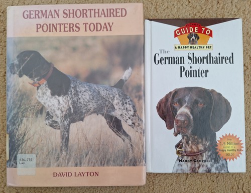 German shorthaired pointer - 2,