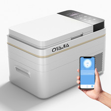 Car Fridge Freezer 30L Portable Car Refrigerator ±20°C Camping 12v Coolbox APP