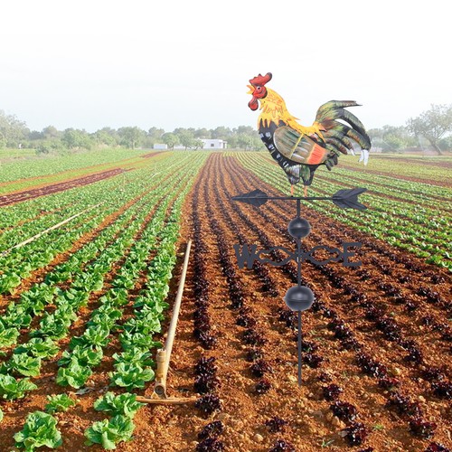 New iron rooster - new,