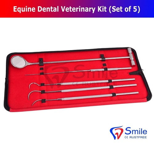 Pcs set equine dental mirror - pcs,