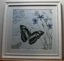 Natural Elegance II Framed