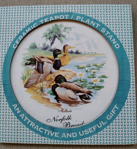 Vintage norfolk china - norfolk,