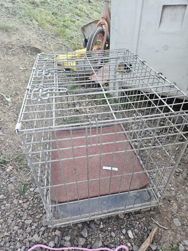 Metal dog cage - cage, savic