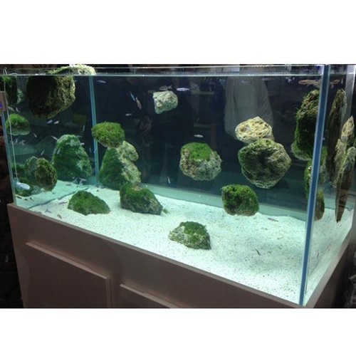 Wall rock attachs - attachs, with