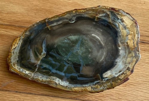 Madagascar petrified wood - madagascar,