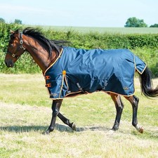 Gallop Trojan / Ponie Duraproof 100g Horse Turnout Rug, Std Neck Lightweight Rug