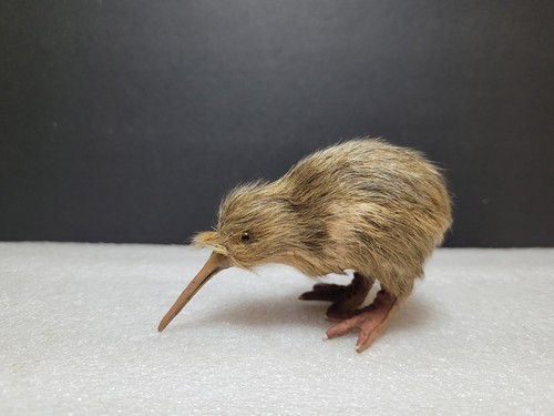 Vintage kiwi bird new zealand - kiwi,