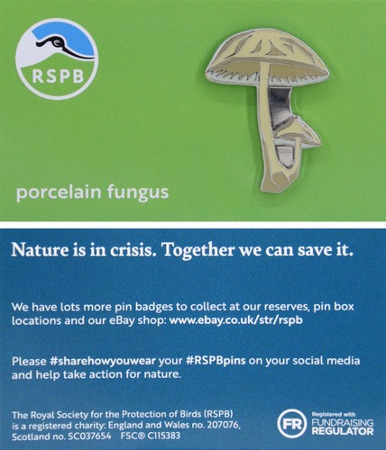 Rspb pin badge niic porcelain - niic,
