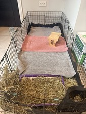 Guinea Pig Cc Cage 5x2 Panels
