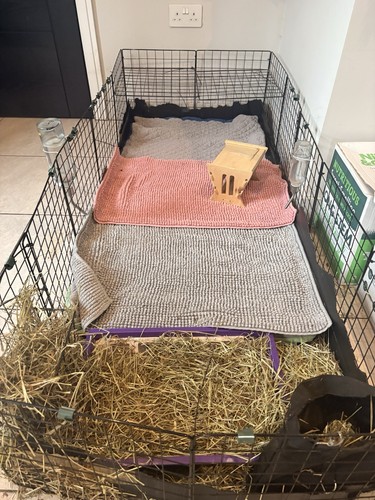 Guinea pig cage 5x2 panels - cage,