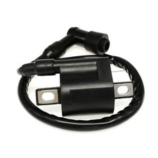 Ignition coil with spark plug