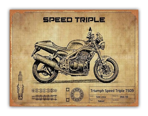 Triumph speed triple style - triple,