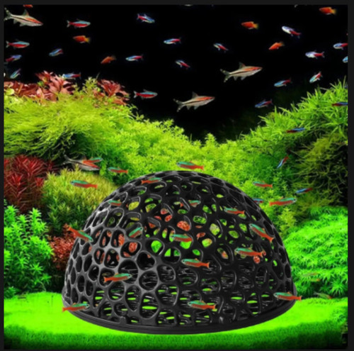 Shrimp breeding cave - shrimp, aquarium