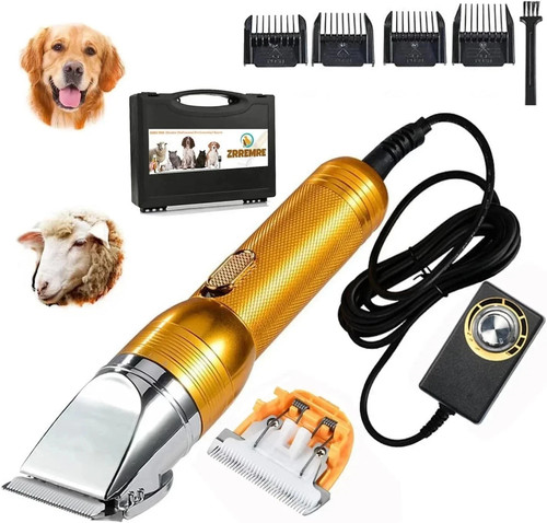 Electric professional dog - professional,