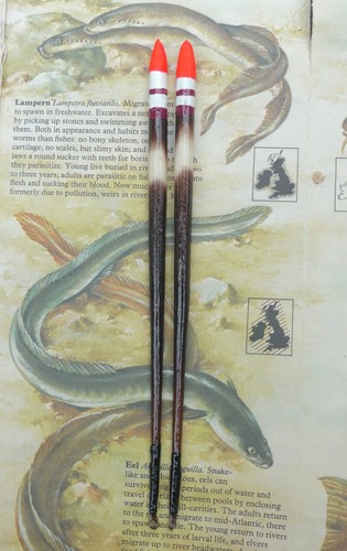 Pair old school - , porcupine