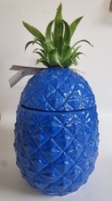 Retro Pineapple Ceramic Ice