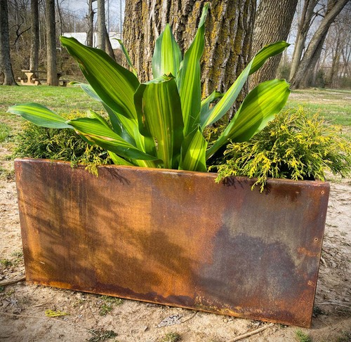 Metal trough planter 12 - trough, x