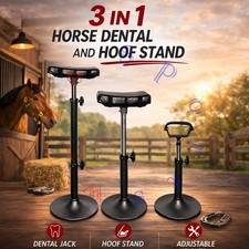 3 in 1 Dental Head Stand