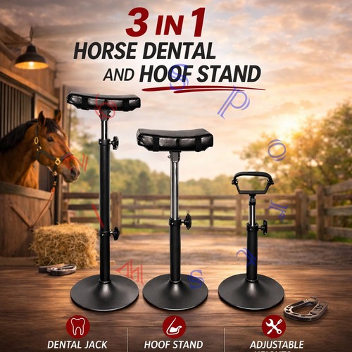 Dental head stand - dental,