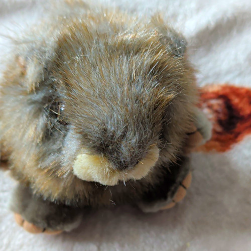 Mjc vintage plush squirrel - vintage,