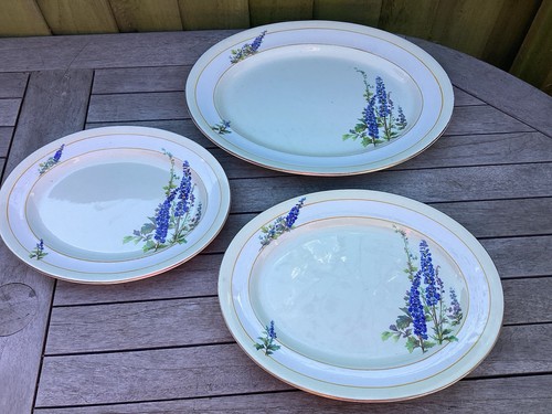 Tams ware semi porcelain set - ware,