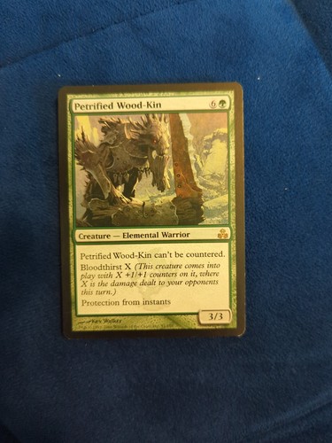 Mtg petrified wood - mtg,