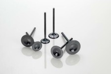 8400020-1 Discharge Valve