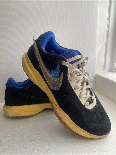 Nike lebron uninterrupted - nike,