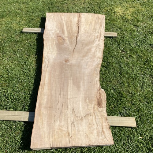 Large beech slab - beech,