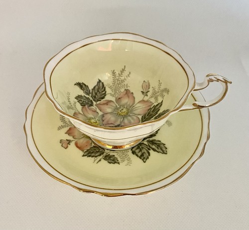 Paragon dogwood tea - paragon, &