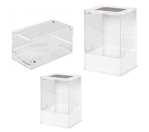 Reptizoo acrylic insect - reptizoo,