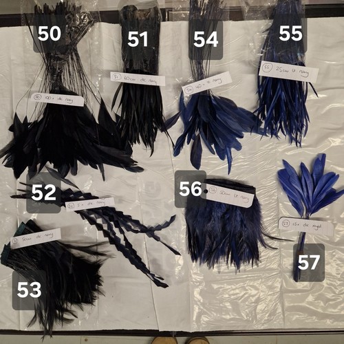 Feathers for millinery coque - feathers, millinery,